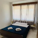 Cozy Comfy 1 セレス