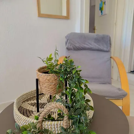 Cozy Comfy 1 * סרס