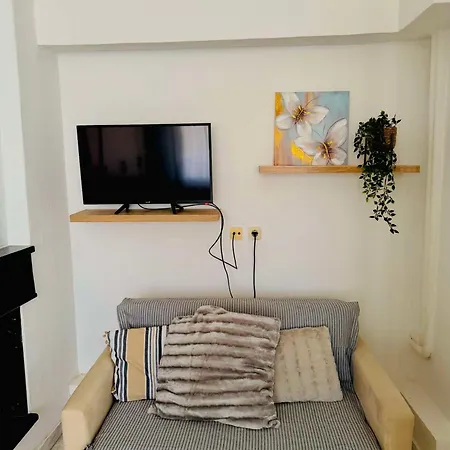 Cozy Comfy 1 סרס